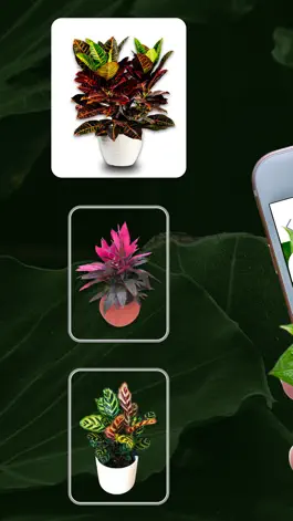 Game screenshot Leaf Snap Tree identification mod apk