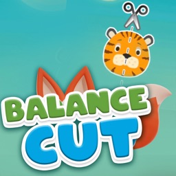 Balance Cut Puzzle