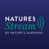 Nature's Stream