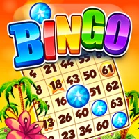 Bingo Story app funktioniert nicht? Probleme und Störung