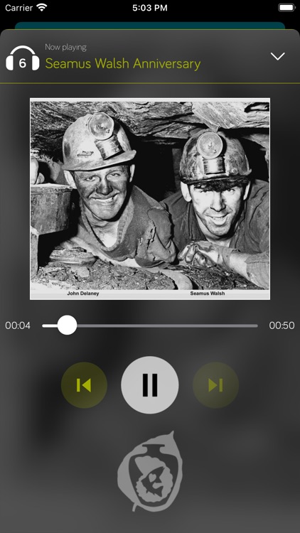 Castlecomer Museum of Mining screenshot-3