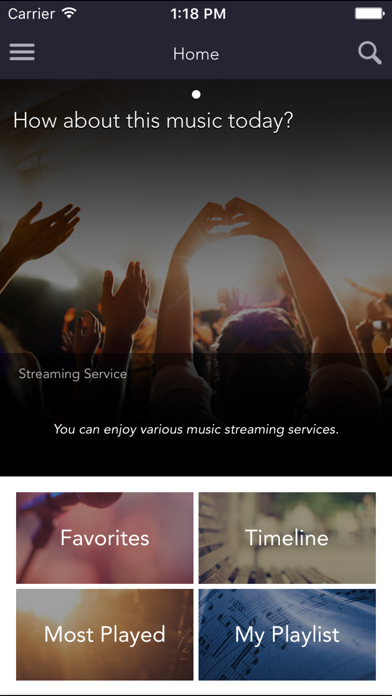 Screenshot #2 pour Music Flow Player