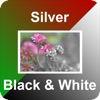 Silver B&W Photo Converter
