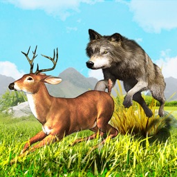 Wolf Simulator Animal Games 3D
