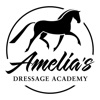 Amelia's Dressage Academy