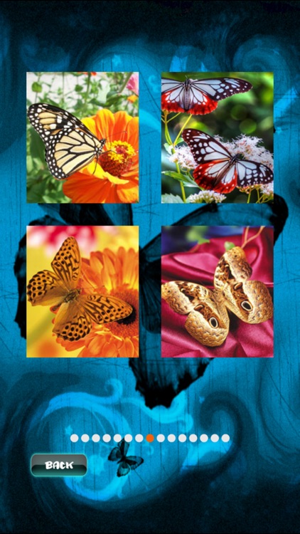 Butterfly Jigsaw screenshot-3