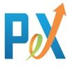 PeX: Purposeful Experience