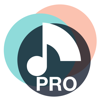 Ear training Pro: piano guitar - Alexey Ovod