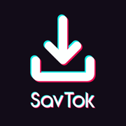 SavTok: TikTok Saver Followers