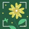Icon Plant Identifier - Scan Flower