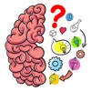 Brain Games: IQ Test Training