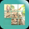 CAT PUZZLE GAME/Move the tiles