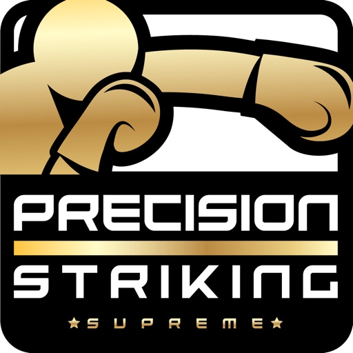 Precision Boxing Coach Pro