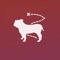 Voted #1 campus app for Mississippi State University