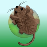 Pet Games Delux