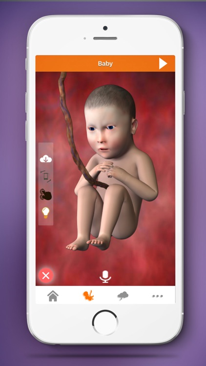 Pregnancy Mentor - Baby birth screenshot-2