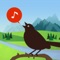 Listen to and learn hundreds of bird songs and calls from across Canada, with up to 34 seconds of song for each bird, and alternative recordings for some birds