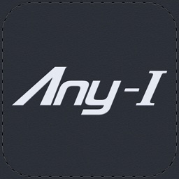 Any-I