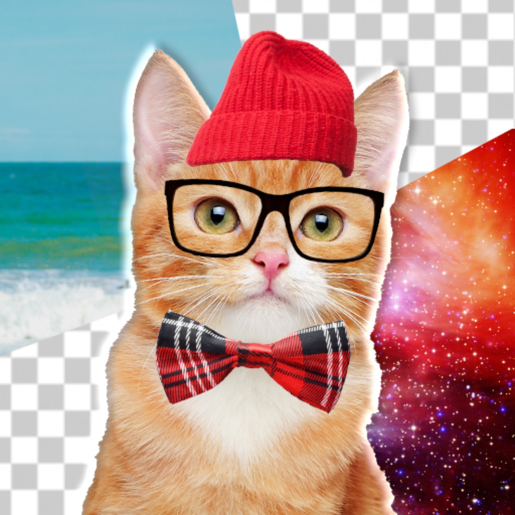 Поставь кэт. Cat Editor. Mog Cat Edit. Video Editor Cat. Mac Cat.