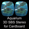 Aquarium Videos for Cardboard - Kai Bruchmann