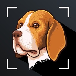 Dog Scanner Identify Dog Breed