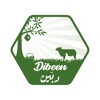Dibeen - Online Local Market