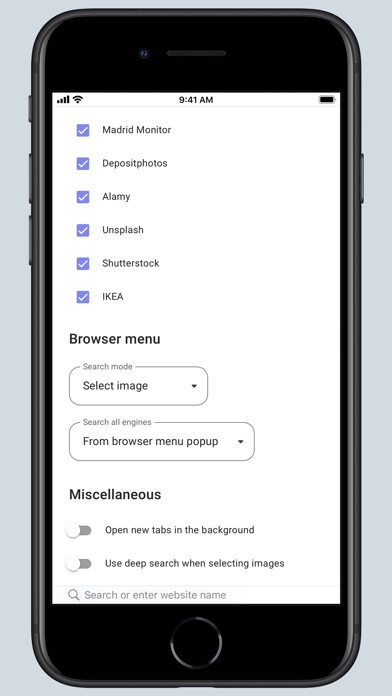 search-by-image-for-safari-ipad-screen-shot-5