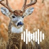 Hunting Calls: Deer