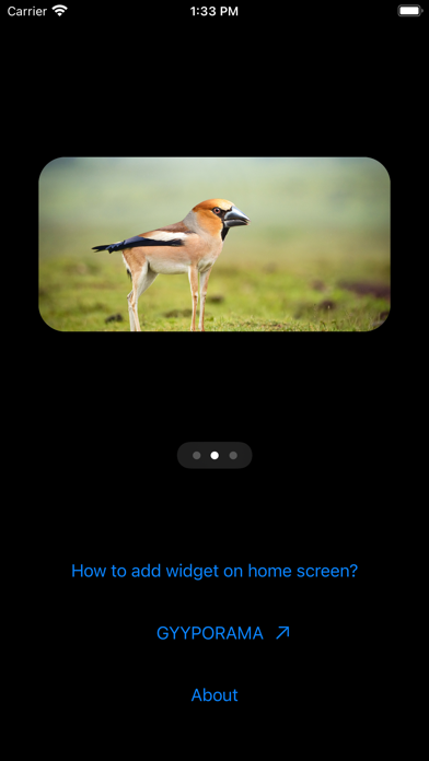 Photo Widgets • Hybrid animalsのおすすめ画像2