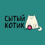 Сытый котик