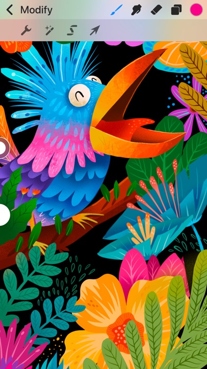 Procreate Pocket screenshot-4