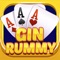 Gin Rummy offline offers four unique game modes as well as extensive statistics tracking