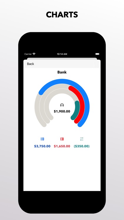 In and Out Essential cash book screenshot-3