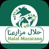 Halal | حلال