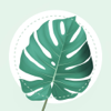 PlantMe - Tree Identification - Straiton Limited