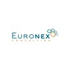 Euronex Consulting - Comptable
