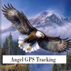 Angel Track