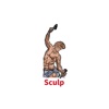 Sculp - Personal Fitness Coach
