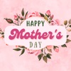Mothers Day Cards 2023 Pack