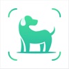 Icon Dog Scanner - Breed Identifier