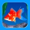 Icon Goldfish - Aquarium Fish Tank