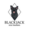 Black Jack Dog Training
