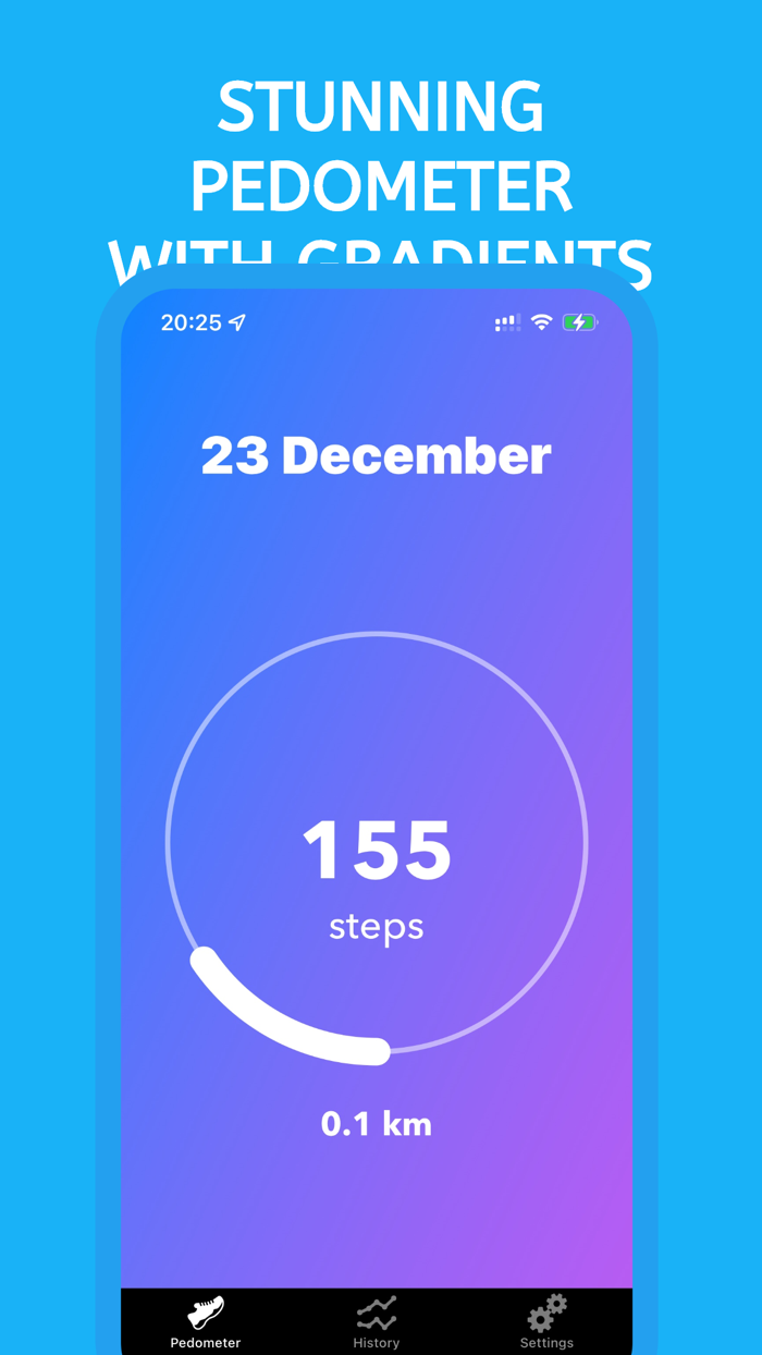 Pedometer