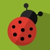 The Ladybug Smasher