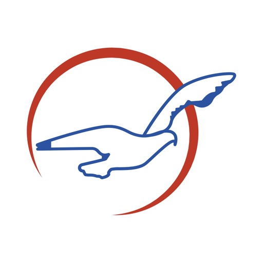 Air Peace Icon