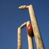 CricScore -Cricket Scoring App