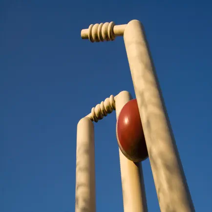 CricScore -Cricket Scoring App Cheats