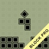 Block Puzzle - Pro