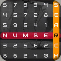 Number Search Puzzle