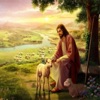 Lost Sheep of Christ